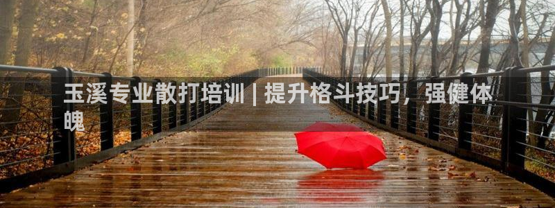 焦点娱乐公司的发展历程是什么