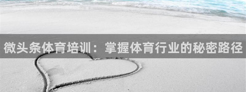 焦点娱乐公司简介资料：微头条体育培训：掌握体育行业的