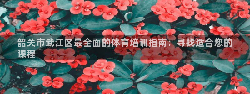 焦点娱乐是黑平台吗：韶关市武江区最全面的体育培训指南