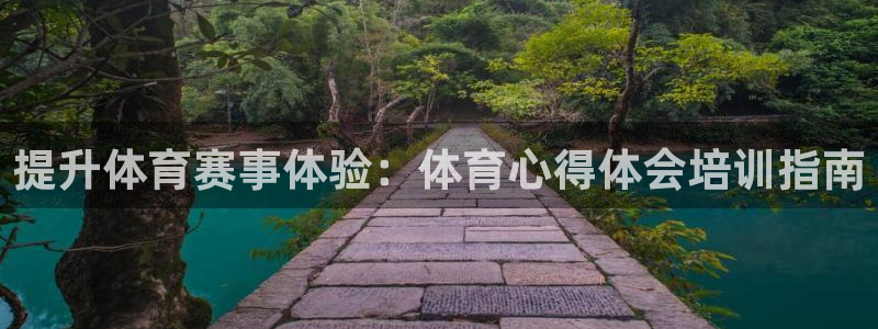 焦点娱乐官方网站入口：提升体育赛事体验：体育心得体会