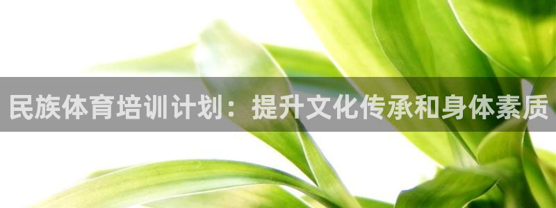 焦点娱乐股东有哪些：民族体育培训计划：提升文化传承和