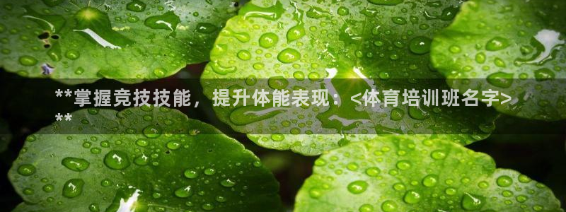 焦点娱乐传媒有限公司是干嘛的公司
