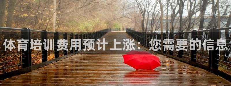 焦点娱乐传媒有限公司招聘：体育培训费用预计上涨：您需
