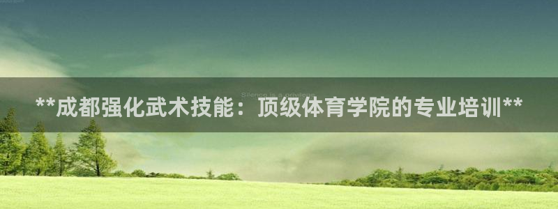 焦点娱乐有限公司怎么样：**成都强化武术技能：顶级体