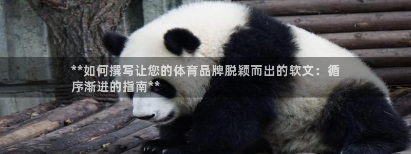 焦点娱乐平台注册账号怎么注销：**如何撰写让您的体育