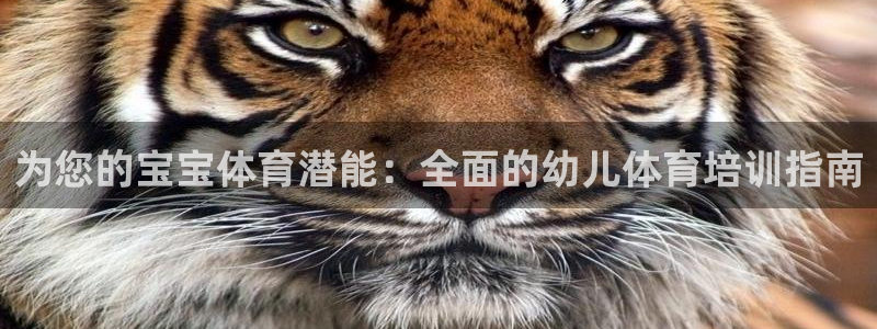 焦点娱乐平台登录不了怎么办：为您的宝宝体育潜能：全面