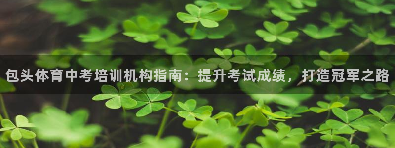 焦点娱乐平台登录不了怎么回事