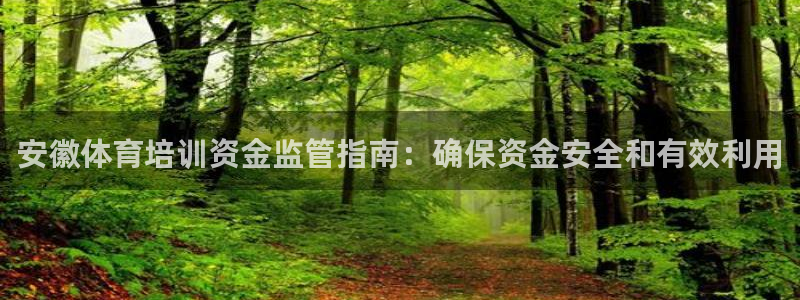 焦点娱乐传媒有限公司怎么样啊：安徽体育培训资金监管指