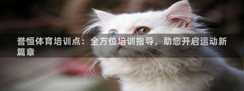 焦点娱乐传媒有限公司怎么样呀