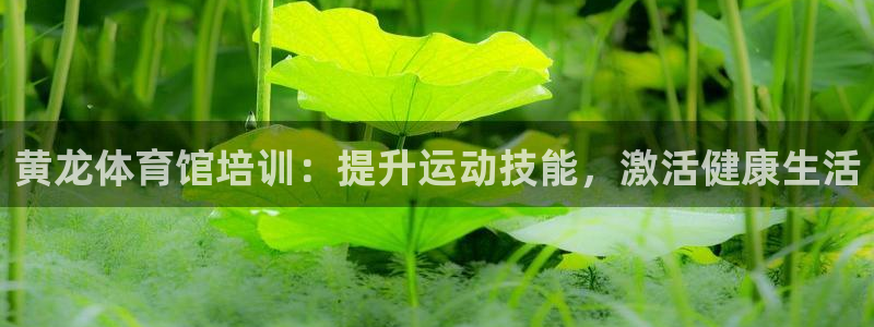 焦点娱乐平台主管：黄龙体育馆培训：提升运动技能，激活