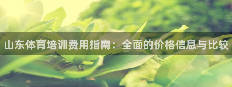 焦点娱乐股东持股比例：山东体育培训费用指南：全面的价