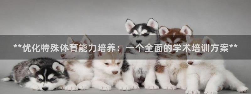 焦点娱乐公司的发展历程是什么：**优化特殊体育能力培
