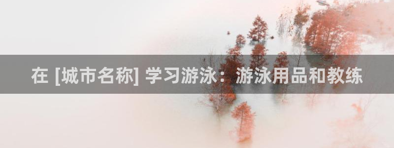 焦点娱乐公司简介怎么写：在 [城市名称] 学习游泳：
