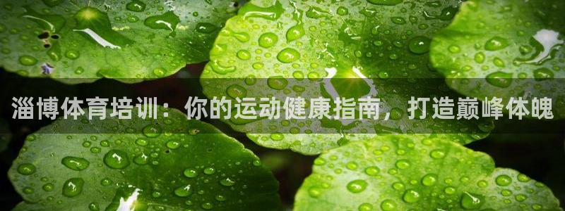 焦点娱乐app下载安装方式最新：淄博体育培训：你的运