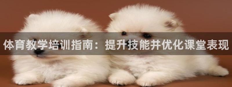 焦点娱乐官方网站下载手机版安装：体育教学培训指南：提