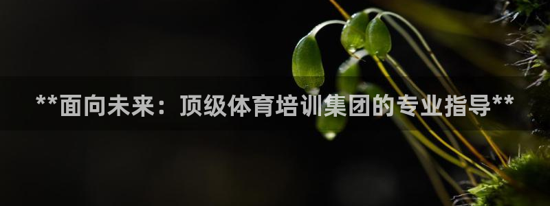 焦点娱乐公司官网