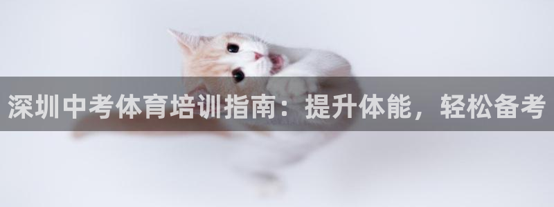 焦点娱乐游戏怎么玩的：深圳中考体育培训指南：提升体能