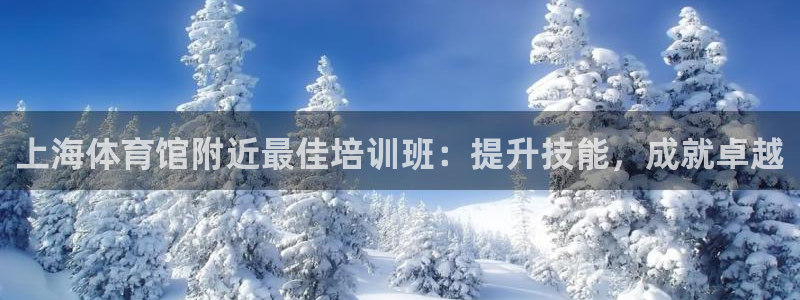 焦点娱乐有限公司官网：上海体育馆附近最佳培训班：提升