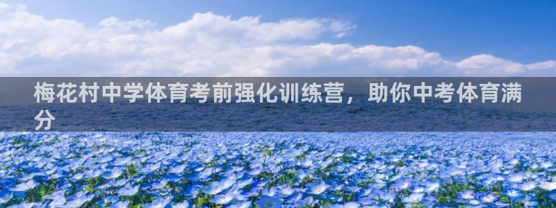焦点娱乐官方网站入口在线观看下载：梅花村中学体育考前