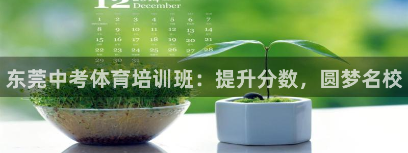 焦点娱乐平台怎么样可靠吗