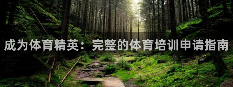 焦点娱乐平台例7O777：成为体育精英：完整的体育培