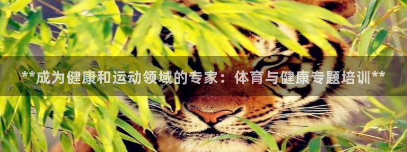 焦点娱乐平台章7O777：**成为健康和运动领域的专