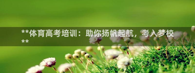 焦点娱乐公司的发展历程是什么：**体育高考培训：助你