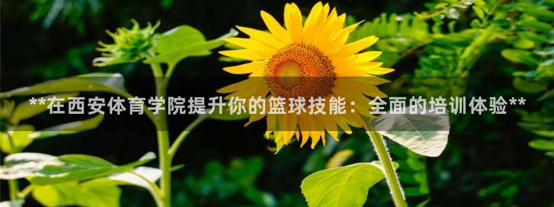 焦点娱乐说说文案：**在西安体育学院提升你的篮球技能