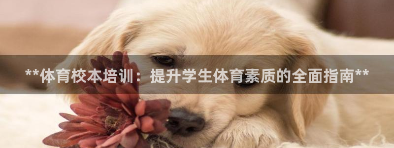 焦点娱乐官方网站下载安装苹果：**体育校本培训：提升
