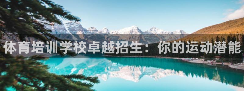 焦点娱乐负责人：体育培训学校卓越招生：你的运动潜能
