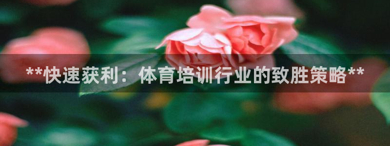 焦点娱乐直属：**快速获利：体育培训行业的致胜策略*