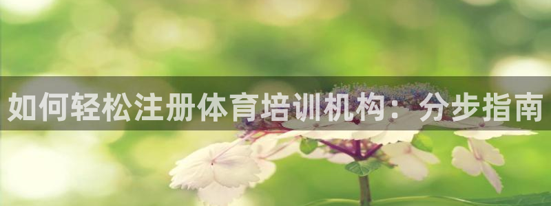 焦点娱乐是黑平台吗知乎：如何轻松注册体育培训机构：分