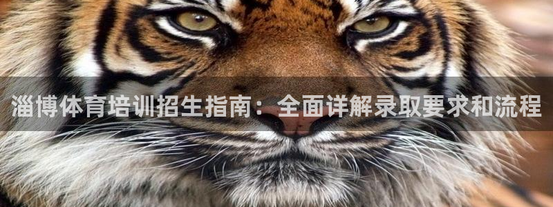 焦点娱乐：淄博体育培训招生指南：全面详解录取要求和流程