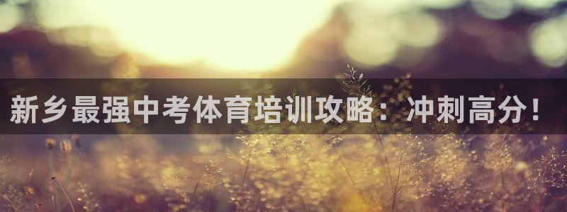 焦点娱乐公司是干嘛的