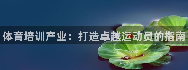 焦点娱乐是黑平台吗知乎：体育培训产业：打造卓越运动员