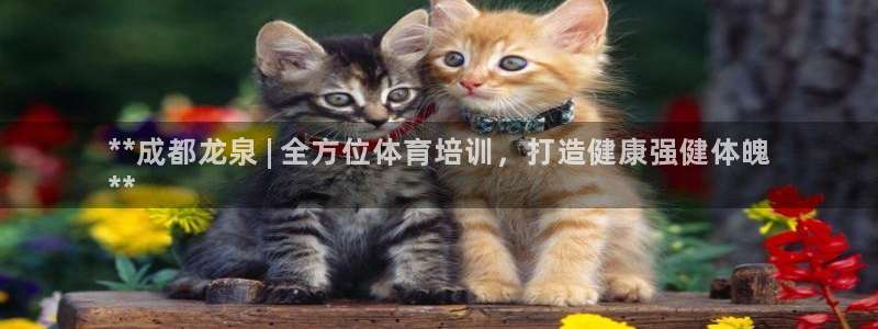 焦点娱乐平台客服热线电话号码：**成都龙泉 | 全方