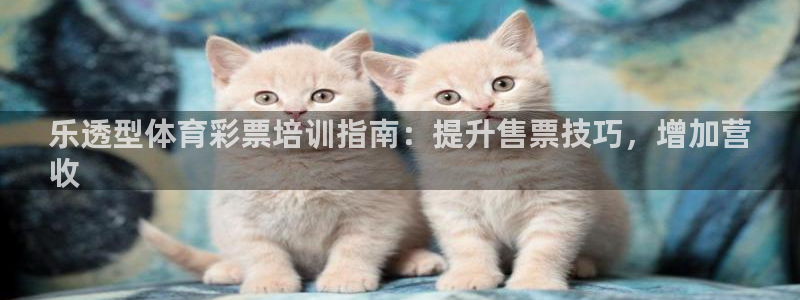 焦点娱乐游戏攻略大全：乐透型体育彩票培训指南：提升售