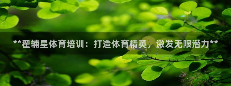 焦点娱乐加速器下载安装：**翟辅星体育培训：打造体育
