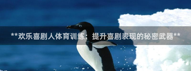 焦点娱乐是哪个公司的产品：**欢乐喜剧人体育训练：提