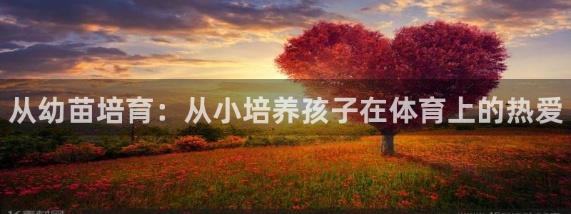 焦点娱乐挂机：从幼苗培育：从小培养孩子在体育上的热爱