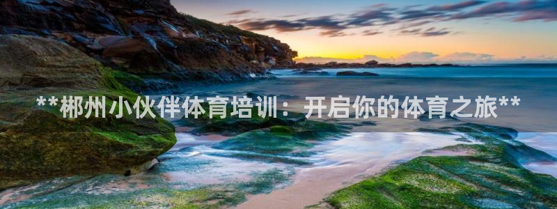 焦点娱乐官方网站首页下载手机版