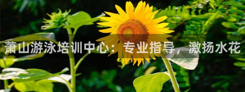 焦点娱乐app下载官网：萧山游泳培训中心：专业指导，