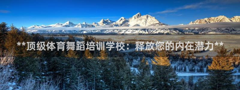 焦点娱乐官方网站下载安装苹果：**顶级体育舞蹈培训学