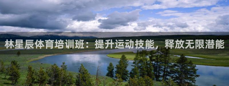 焦点娱乐公司