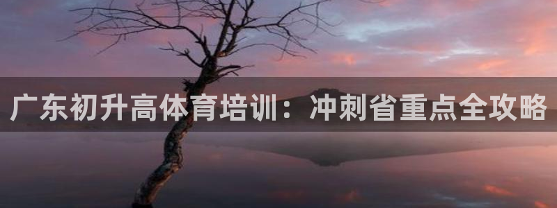 焦点娱乐公司简介怎么写：广东初升高体育培训：冲刺省重点全攻略