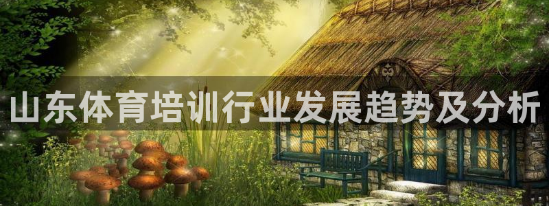 焦点娱乐加速器下载：山东体育培训行业发展趋势及分析