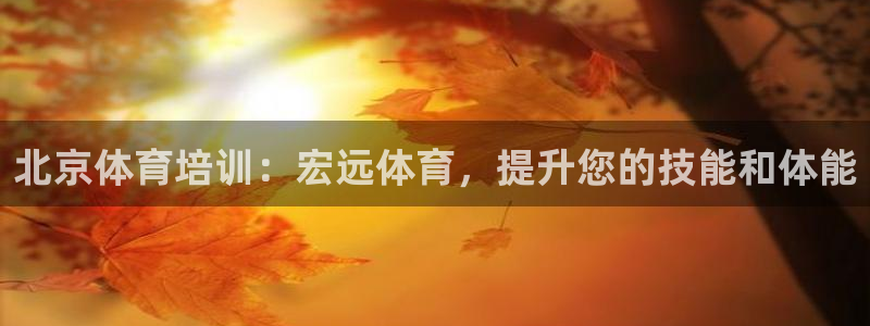 焦点娱乐官方网站首页入口：北京体育培训：宏远体育，提
