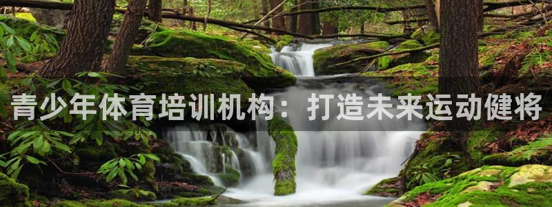 焦点娱乐跨服怎么玩：青少年体育培训机构：打造未来运动