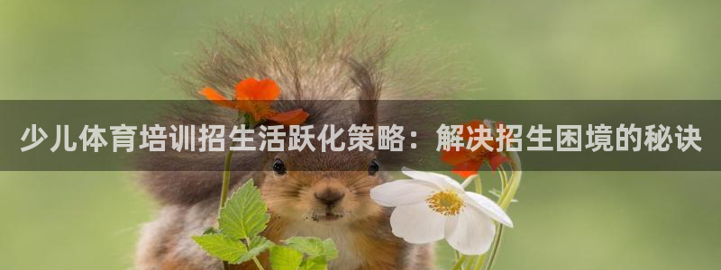 焦点娱乐怎么找客服：少儿体育培训招生活跃化策略：解决