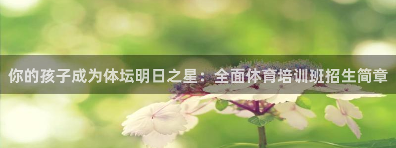 焦点娱乐平台怎么样知乎